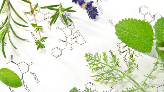 Fresh herbal plants with molecular structures illustrated on white background